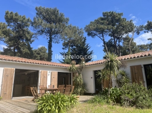 Ile de Ré:Maison des grenettes sous la pinède