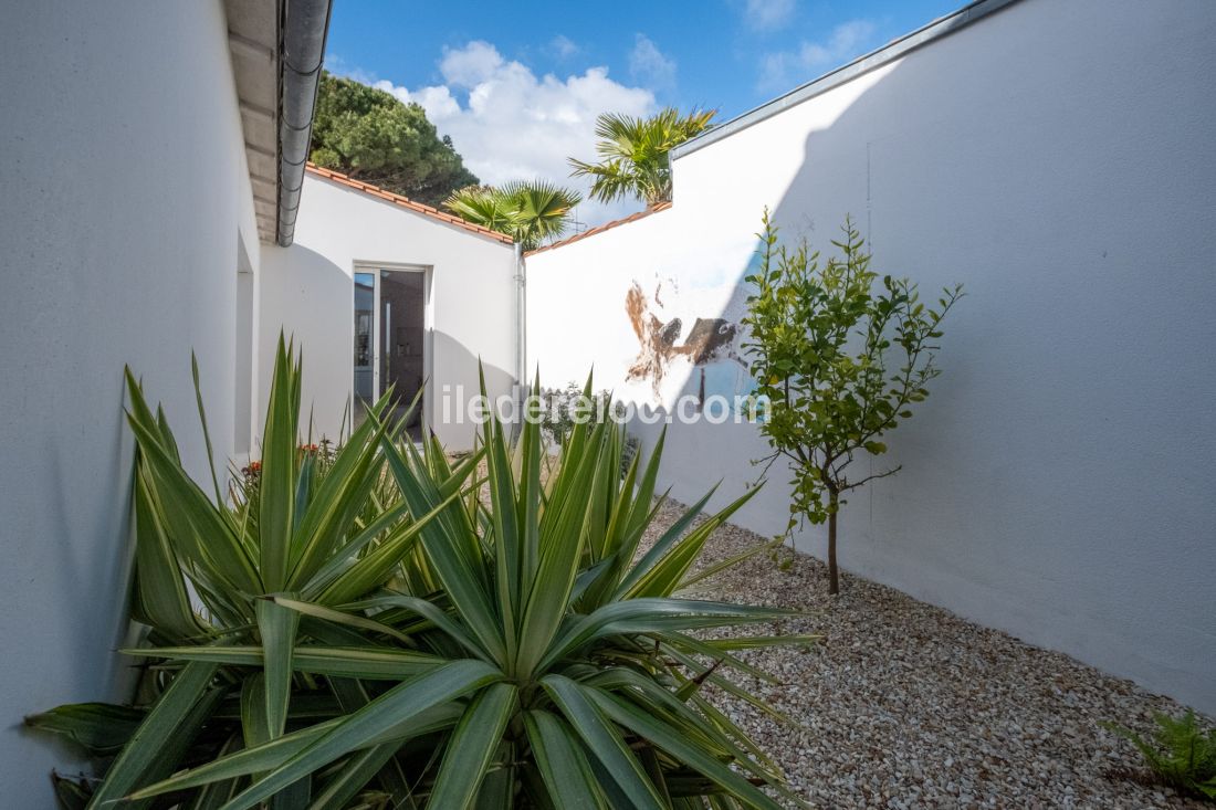 Photo 23 : NC d'une maison située à La Flotte-en-Ré, île de Ré.