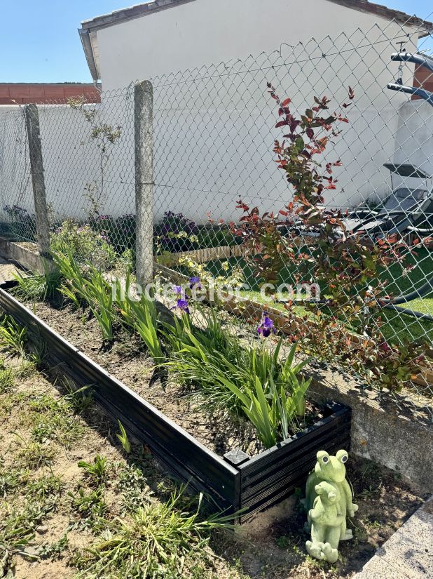 Photo 55 : JARDIN d'une maison situ&eacute;e &agrave; Rivedoux-Plage, &icirc;le de R&eacute;.