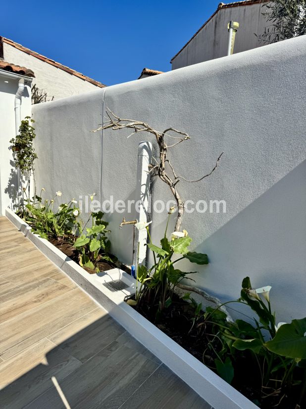 Photo 59 : TERRASSE d'une maison situ&eacute;e &agrave; Rivedoux-Plage, &icirc;le de R&eacute;.