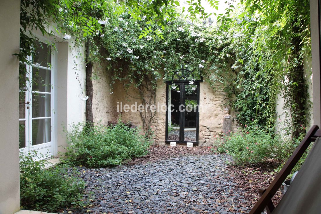 Photo 9 : PATIO d'une maison situ&eacute;e &agrave; La Flotte-en-R&eacute;, &icirc;le de R&eacute;.