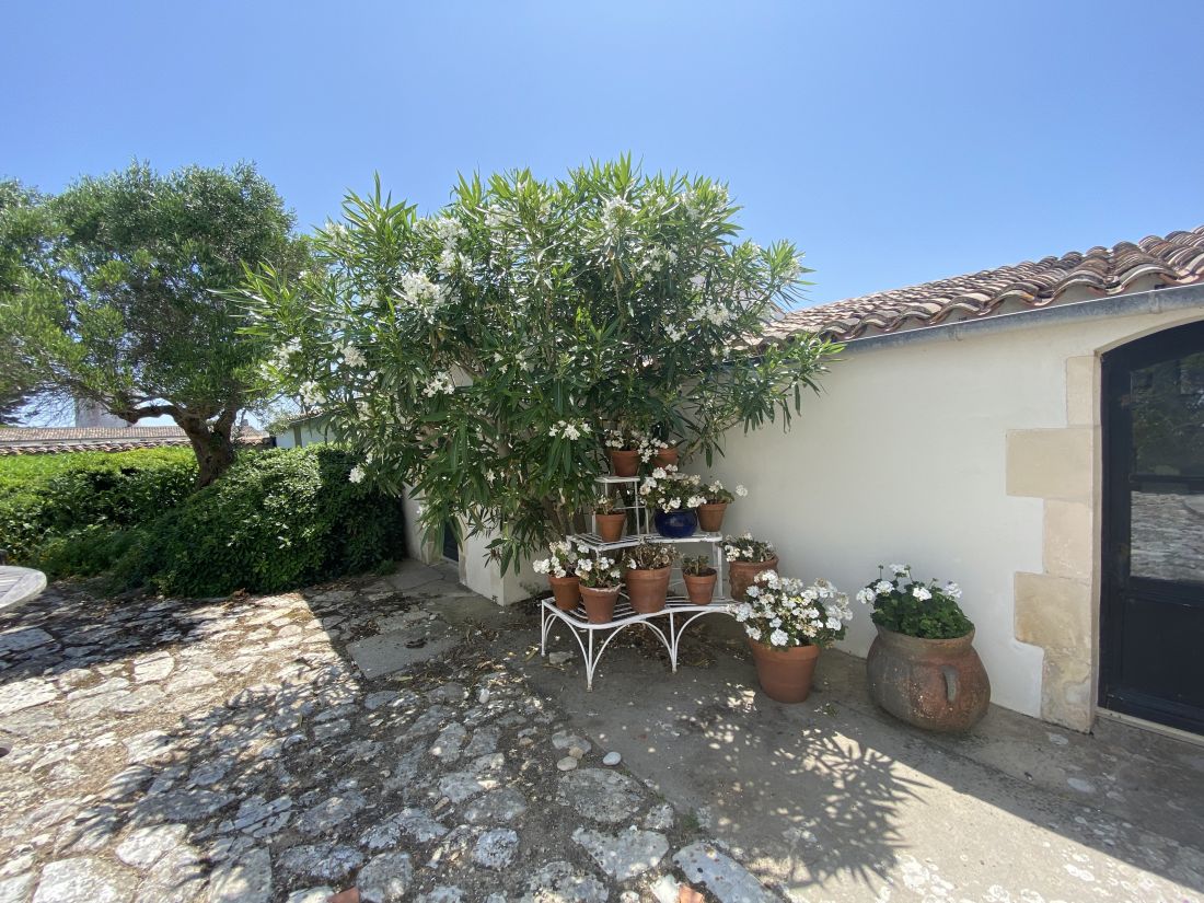 Photo 18 : NC d'une maison située à Ars en Ré, île de Ré.