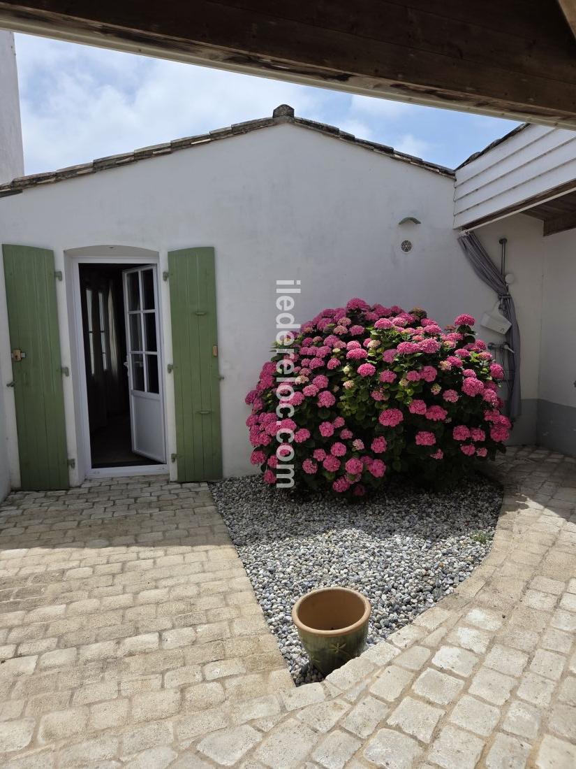 Photo 11 : PATIO d'une maison situ&eacute;e &agrave; Le Bois-Plage-en-R&eacute;, &icirc;le de R&eacute;.