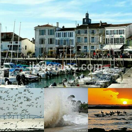 Photo 44 : NC d'une maison situ&eacute;e &agrave; La Flotte-en-R&eacute;, &icirc;le de R&eacute;.