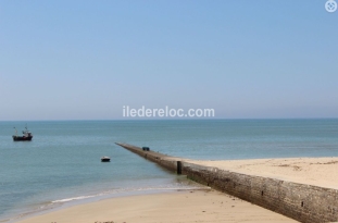 Ile de Ré:Maison lumineuse, à deux pas de la plage
