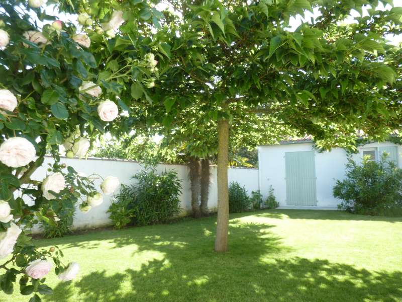 Photo 5 : NC d'une maison située à La Couarde-sur-mer, île de Ré.