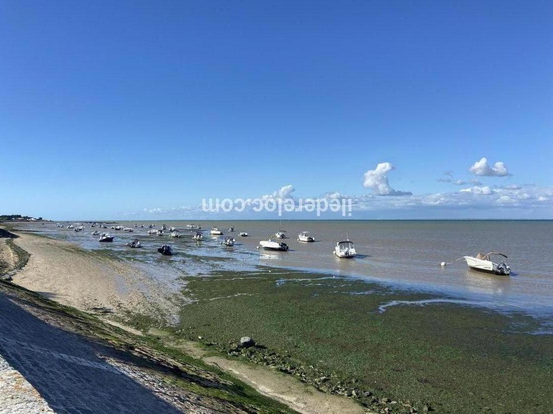Photo 17 : NC d'une maison située à La Flotte-en-Ré, île de Ré.