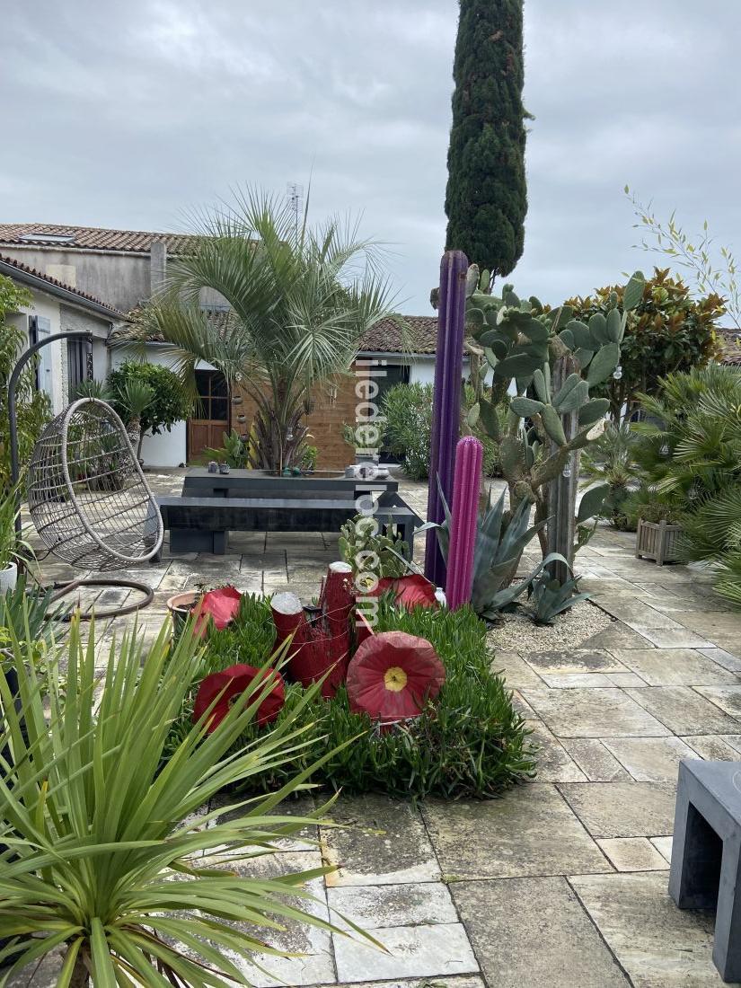 Photo 8 : JARDIN d'une maison située à La Flotte-en-Ré, île de Ré.