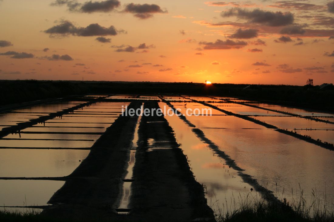 Photo 21 : NC d'une maison située à La Flotte-en-Ré, île de Ré.