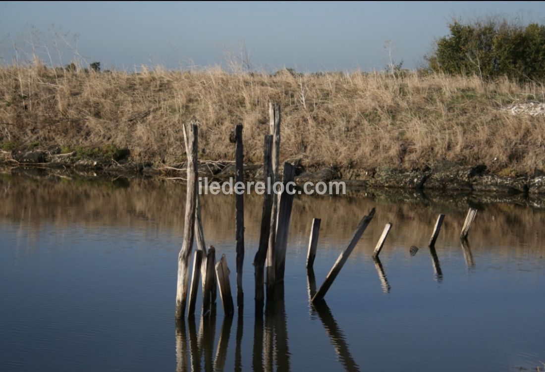 Photo 16 : NC d'une maison située à La Flotte-en-Ré, île de Ré.
