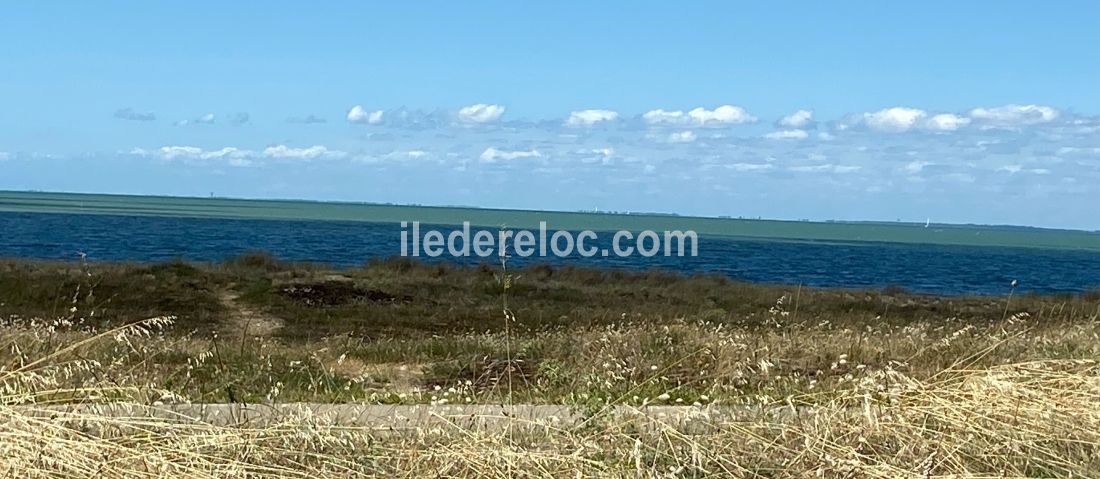 Photo 20 : NC d'une maison située à La Flotte-en-Ré, île de Ré.