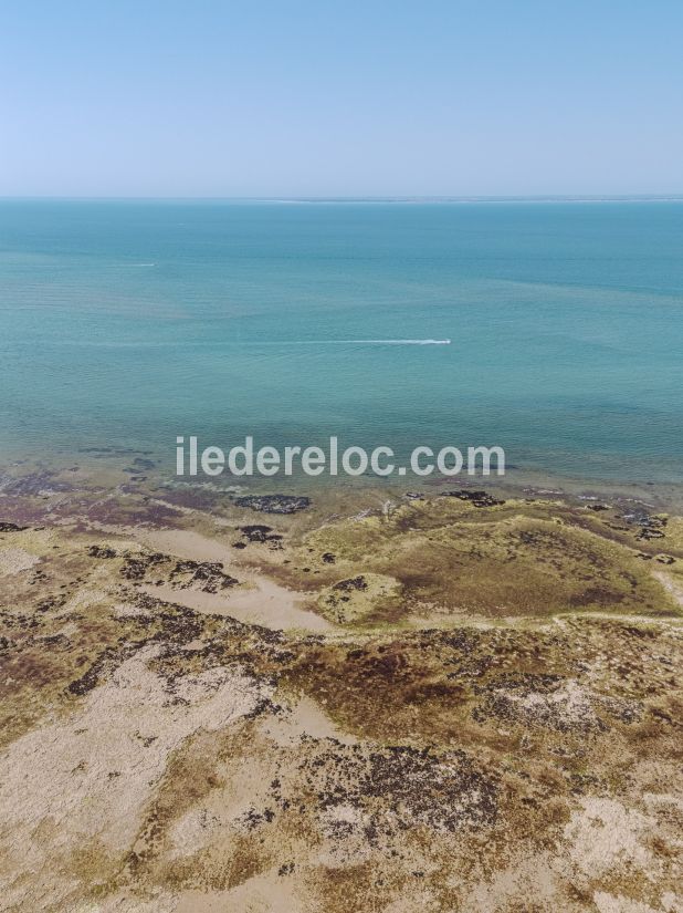 Photo 35 : EXTERIEUR d'une maison située à Loix, île de Ré.