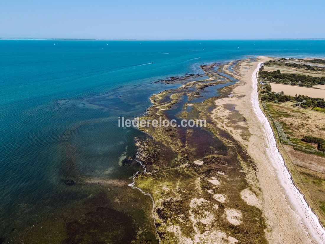 Photo 34 : EXTERIEUR d'une maison située à Loix, île de Ré.