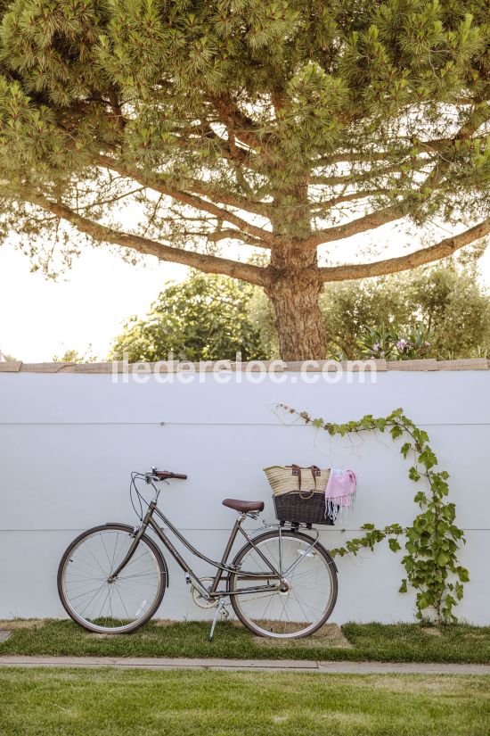 Photo 37 : JARDIN d'une maison située à Loix, île de Ré.