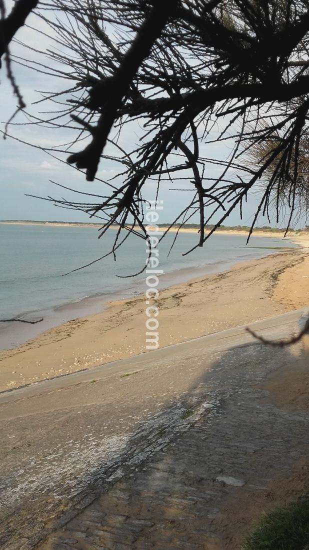 Photo 6 : AUTRE d'une maison située à Saint-Clément-des-Baleines, île de Ré.