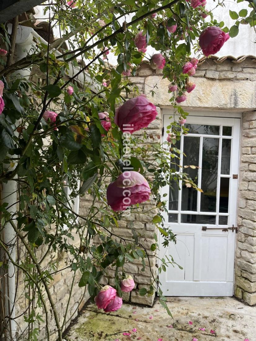 Photo 9 : NC d'une maison située à La Flotte-en-Ré, île de Ré.