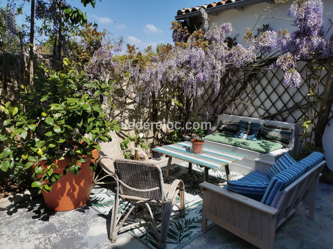 Photo 5 : JARDIN d'une maison située à La Flotte-en-Ré, île de Ré.