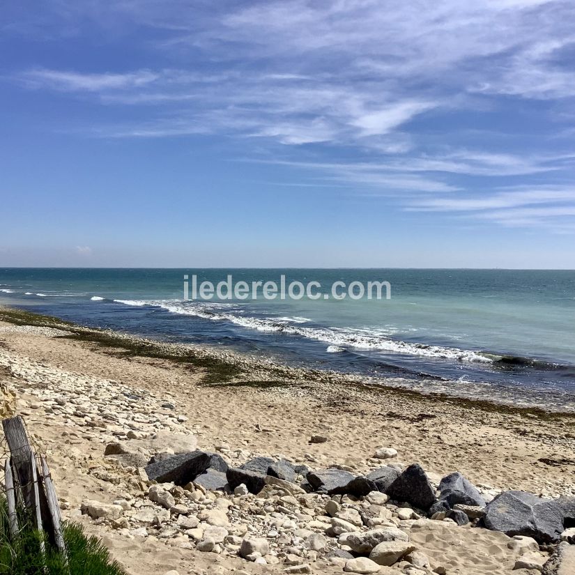 Photo 32 : NC d'une maison située à Sainte-Marie-de-Ré, île de Ré.