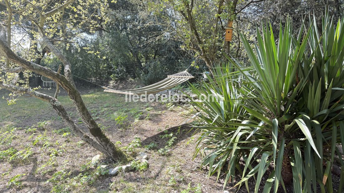 Photo 15 : NC d'une maison située à Sainte-Marie-de-Ré, île de Ré.