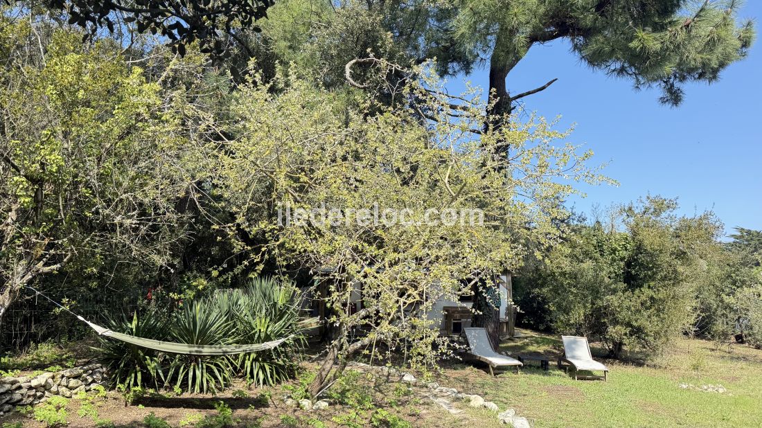 Photo 4 : NC d'une maison située à Sainte-Marie-de-Ré, île de Ré.