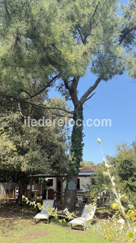 Photo 16 : NC d'une maison située à Sainte-Marie-de-Ré, île de Ré.