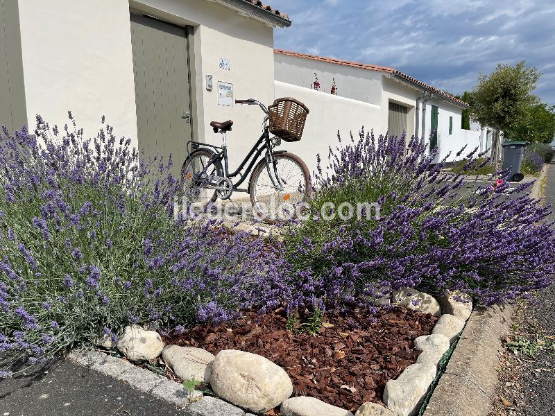 Photo 25 : NC d'une maison située à Le Bois-Plage, île de Ré.