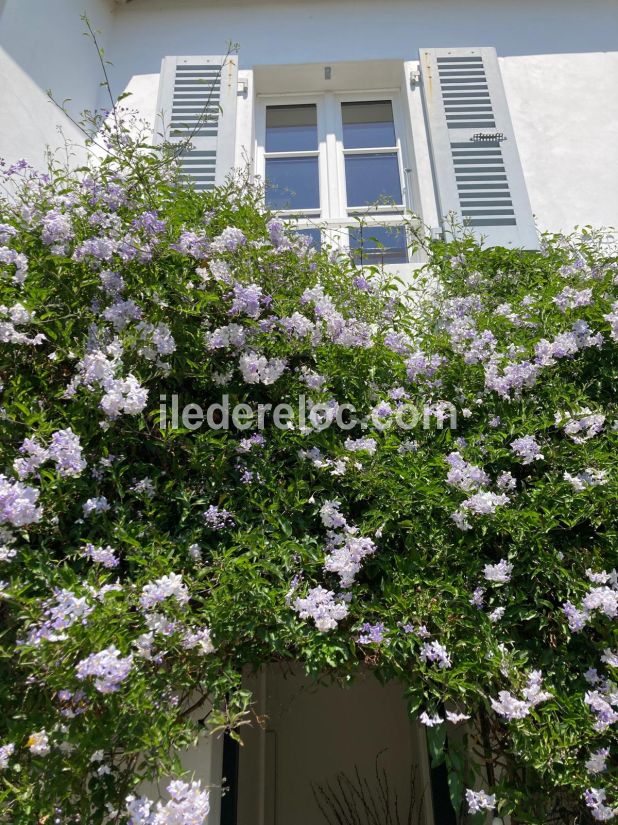 Photo 18 : NC d'une maison située à Sainte-Marie-de-Ré, île de Ré.