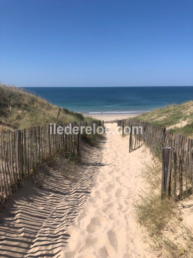 Photo 33 : NC d'une maison située à Le Bois-Plage-en-Ré, île de Ré.