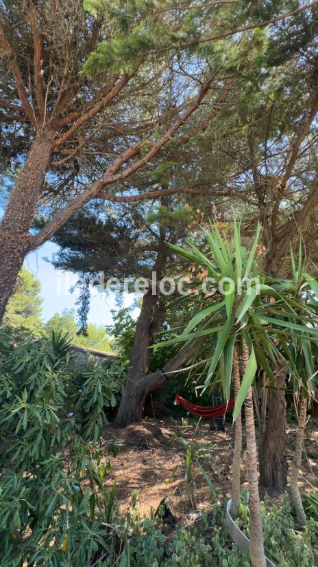 Photo 15 : JARDIN d'une maison située à Les Portes-en-Ré, île de Ré.