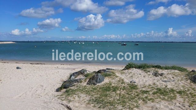 Photo 18 : AUTRE d'une maison située à Loix, île de Ré.