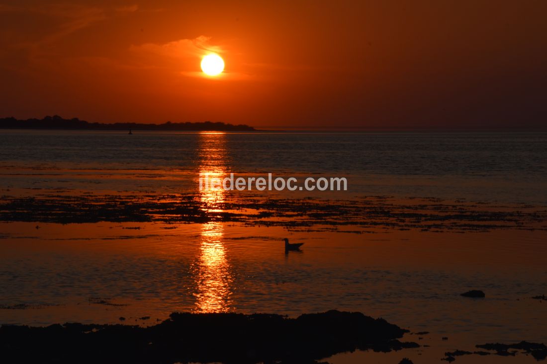 Photo 17 : AUTRE d'une maison située à Loix, île de Ré.
