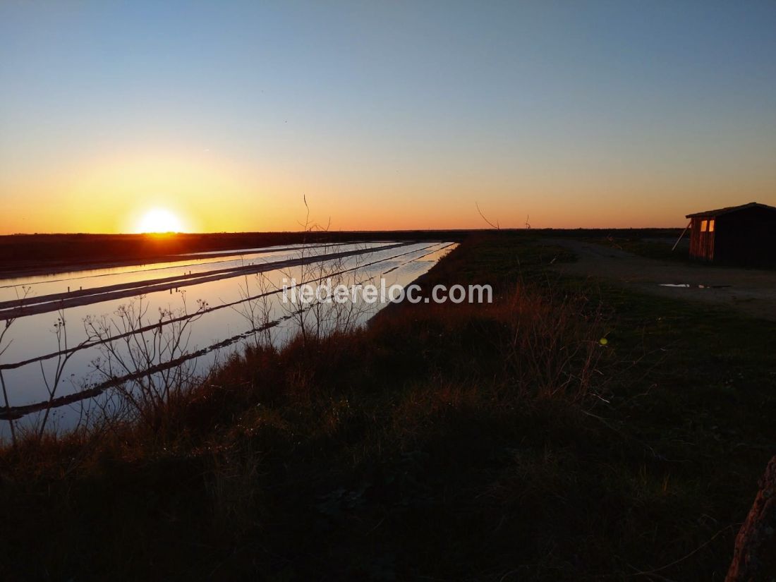 Photo 15 : AUTRE d'une maison située à Loix, île de Ré.