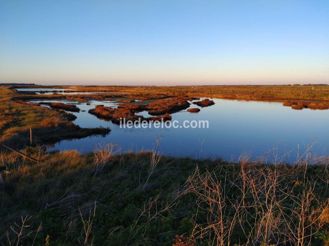 Photo 14 : AUTRE d'une maison située à Loix, île de Ré.