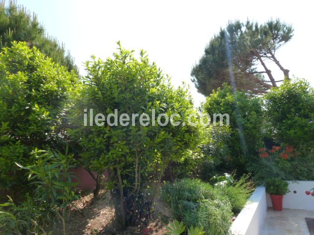 Photo 7 : NC d'une maison située à Ars en Ré, île de Ré.