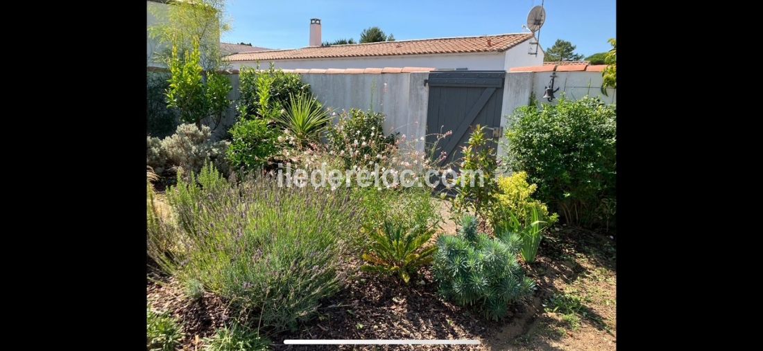 Photo 6 : JARDIN d'une maison située à La Couarde-sur-mer, île de Ré.