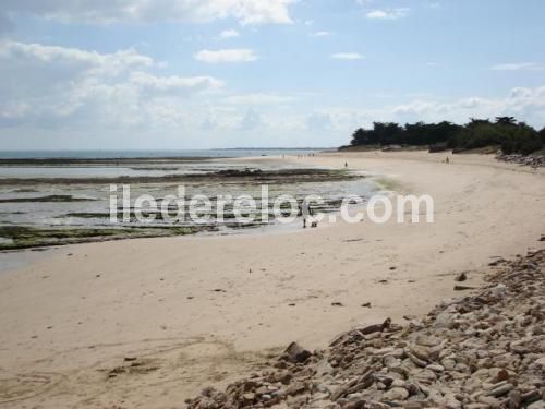 Photo 11 : NC d'une maison située à Les Portes-en-Ré, île de Ré.