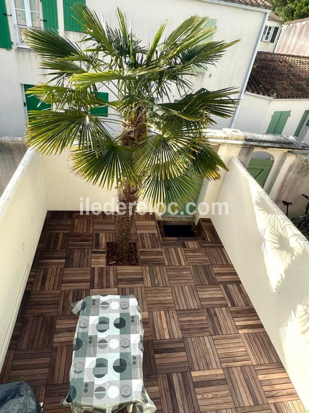 Photo 8 : TERRASSE d'une maison situ&eacute;e &agrave; La Flotte-en-R&eacute;, &icirc;le de R&eacute;.