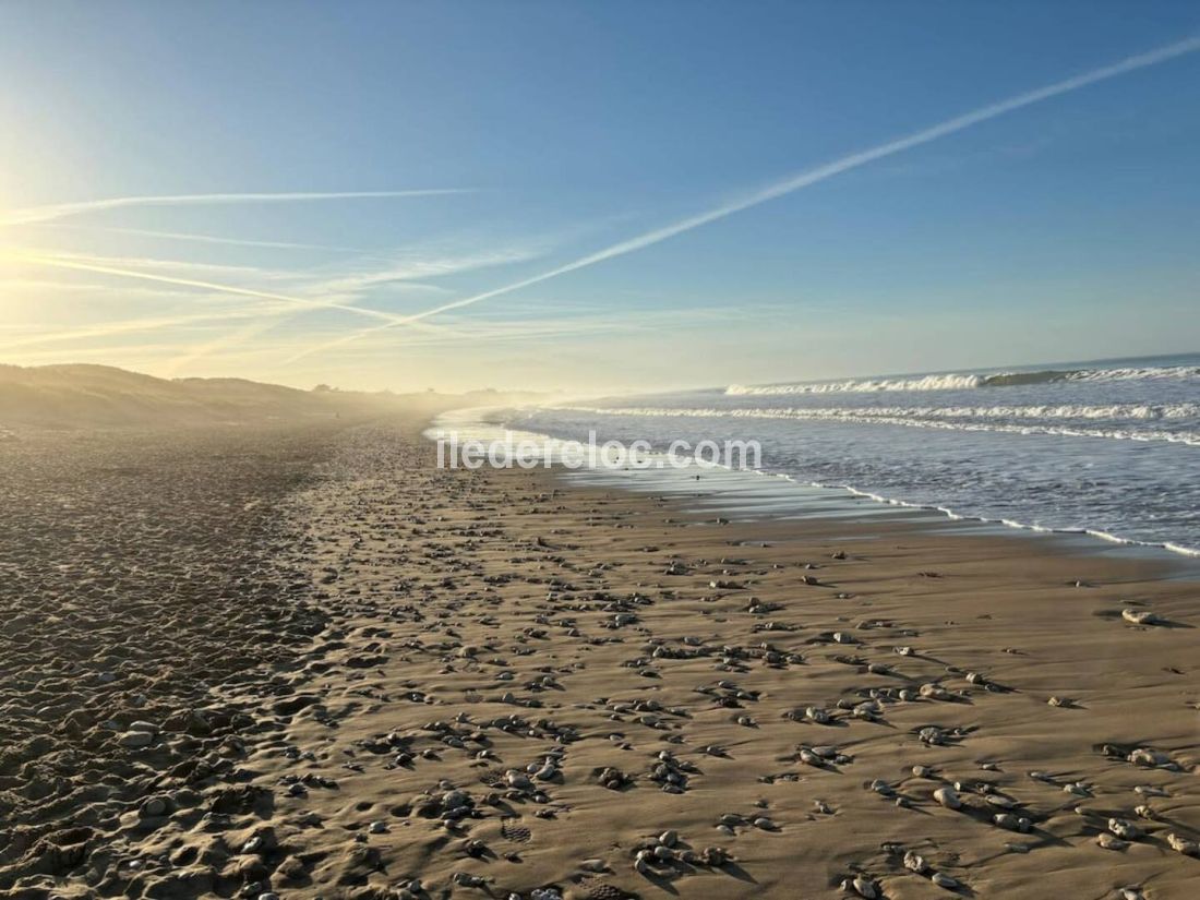 Photo 19 : AUTRE d'une maison située à Le Bois-Plage-en-Ré, île de Ré.