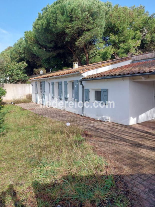 Photo 6 : JARDIN d'une maison située à Rivedoux-Plage, île de Ré.
