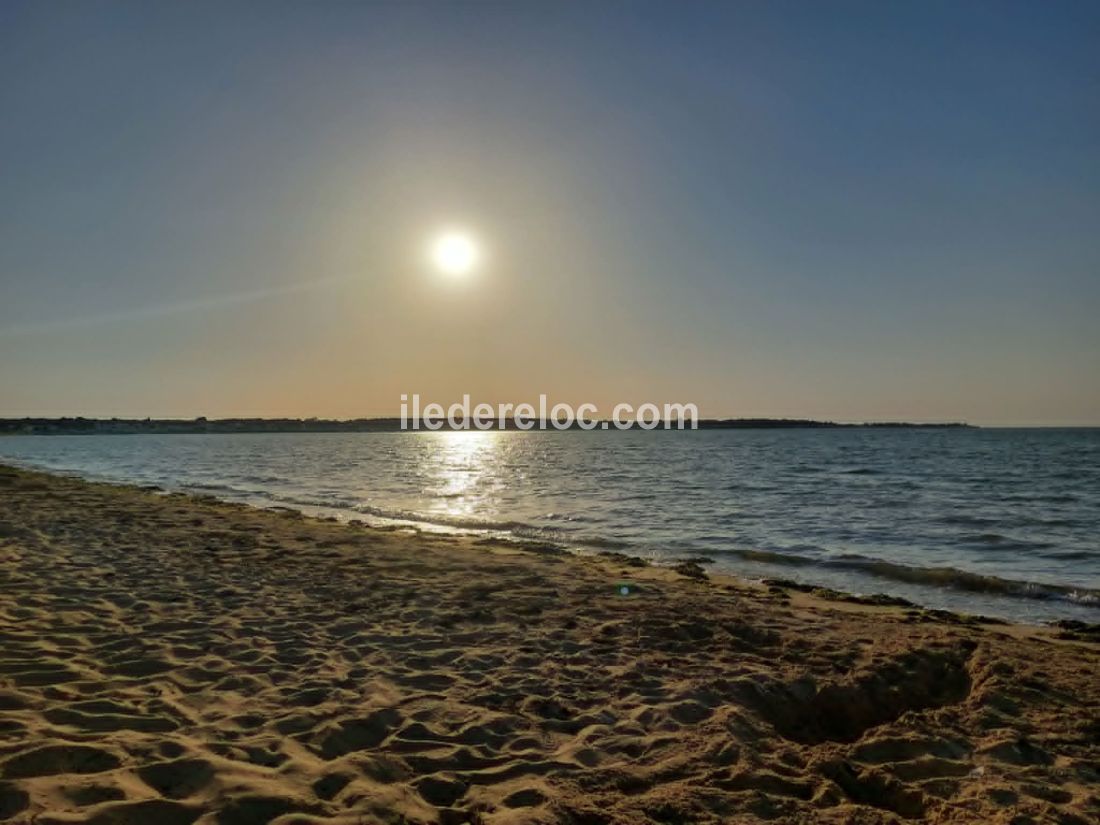 Photo 10 : AUTRE d'une maison situ&eacute;e &agrave; Rivedoux-Plage, &icirc;le de R&eacute;.