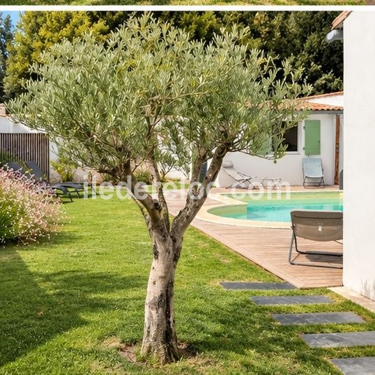 Photo 20 : NC d'une maison situ&eacute;e &agrave; La Flotte-en-R&eacute;, &icirc;le de R&eacute;.