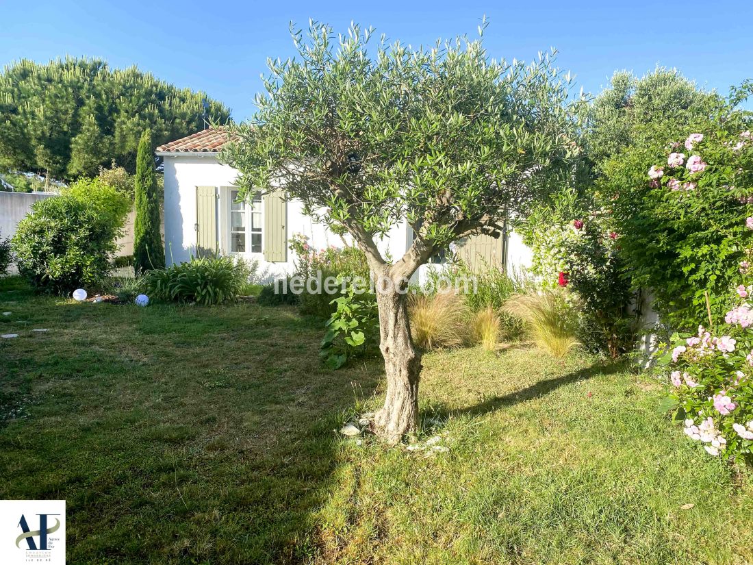 Photo 20 : NC d'une maison située à Saint-Clément-des-Baleines, île de Ré.