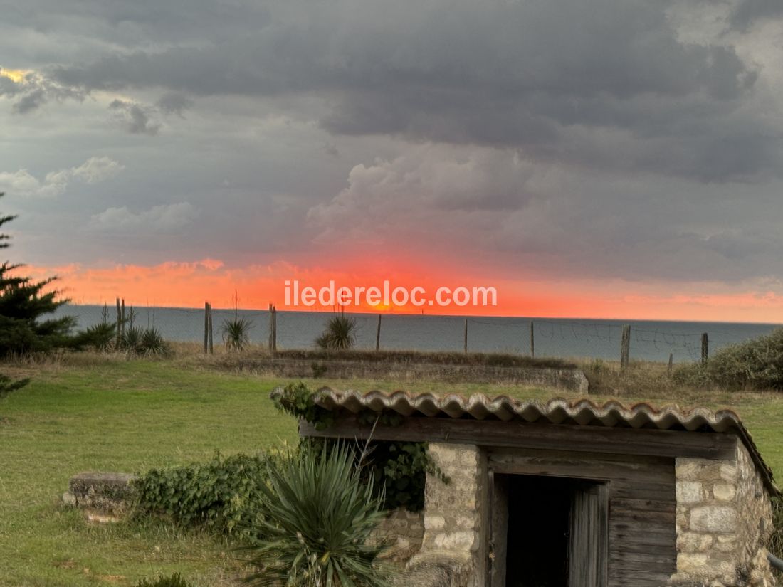 Photo 9 : NC d'une maison située à Sainte-Marie-de-Ré, île de Ré.