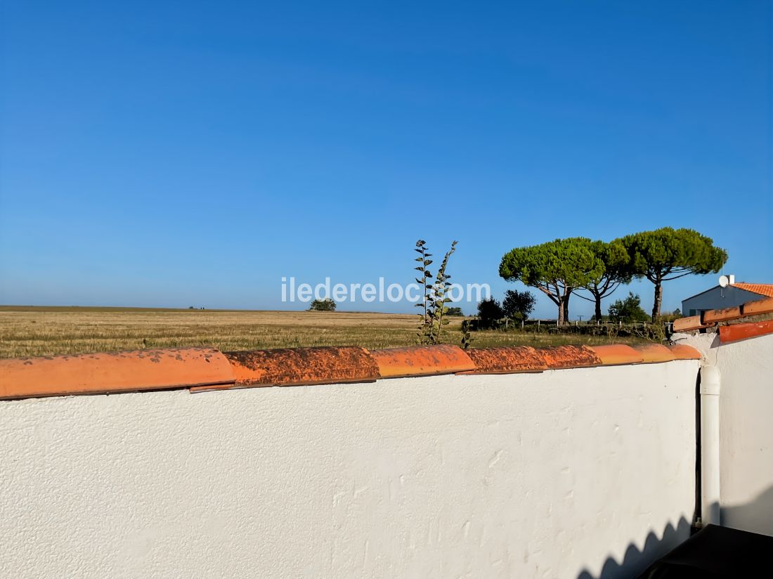 Photo 5 : NC d'une maison située à La Flotte-en-Ré, île de Ré.
