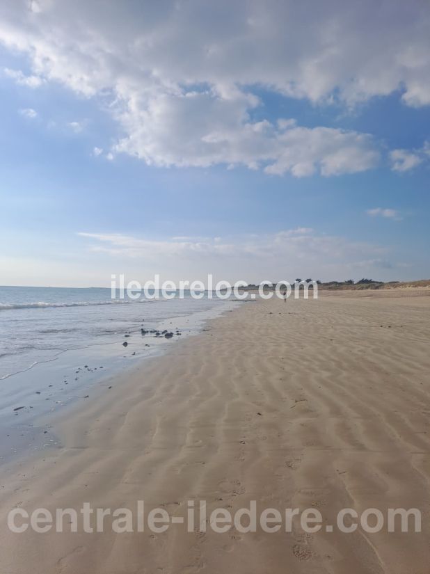 Photo 16 : NC d'une maison située à La Couarde-sur-mer, île de Ré.
