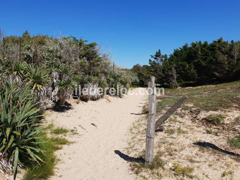 Photo 16 : AUTRE d'une maison située à Le Bois-Plage-en-Ré, île de Ré.