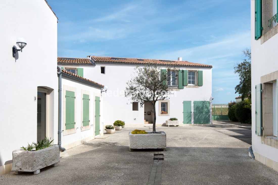 Photo 9 : EXTERIEUR d'une maison situ&eacute;e &agrave; Saint-Martin-de-R&eacute;, &icirc;le de R&eacute;.