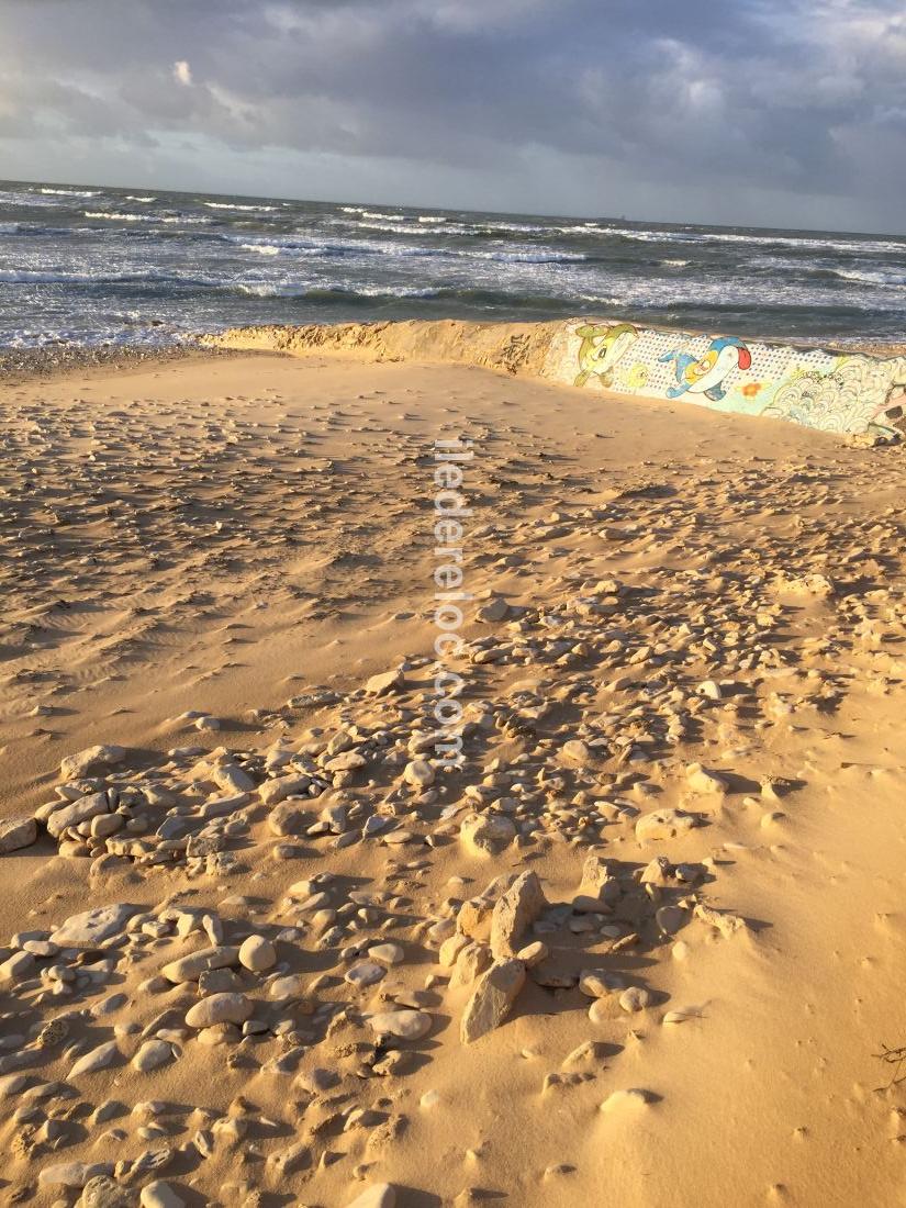Photo 34 : NC d'une maison situ&eacute;e &agrave; Sainte-Marie-de-R&eacute;, &icirc;le de R&eacute;.