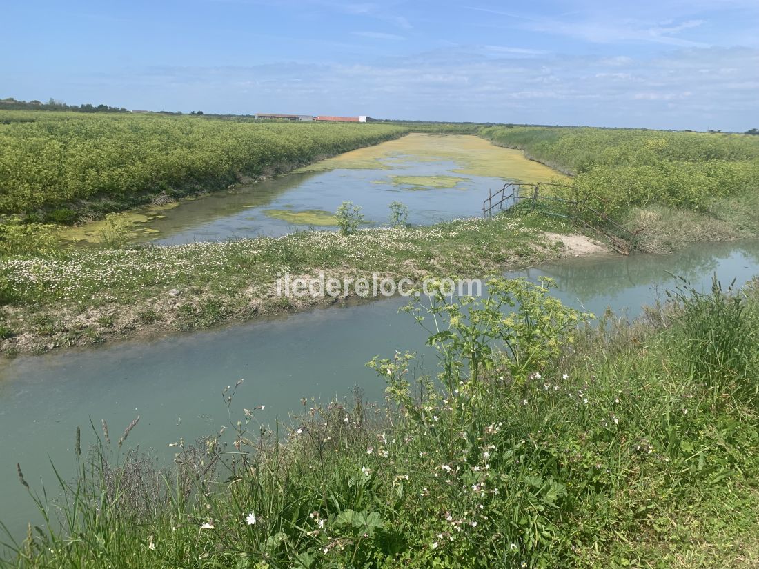 Photo 38 : NC d'une maison situ&eacute;e &agrave; Sainte-Marie-de-R&eacute;, &icirc;le de R&eacute;.