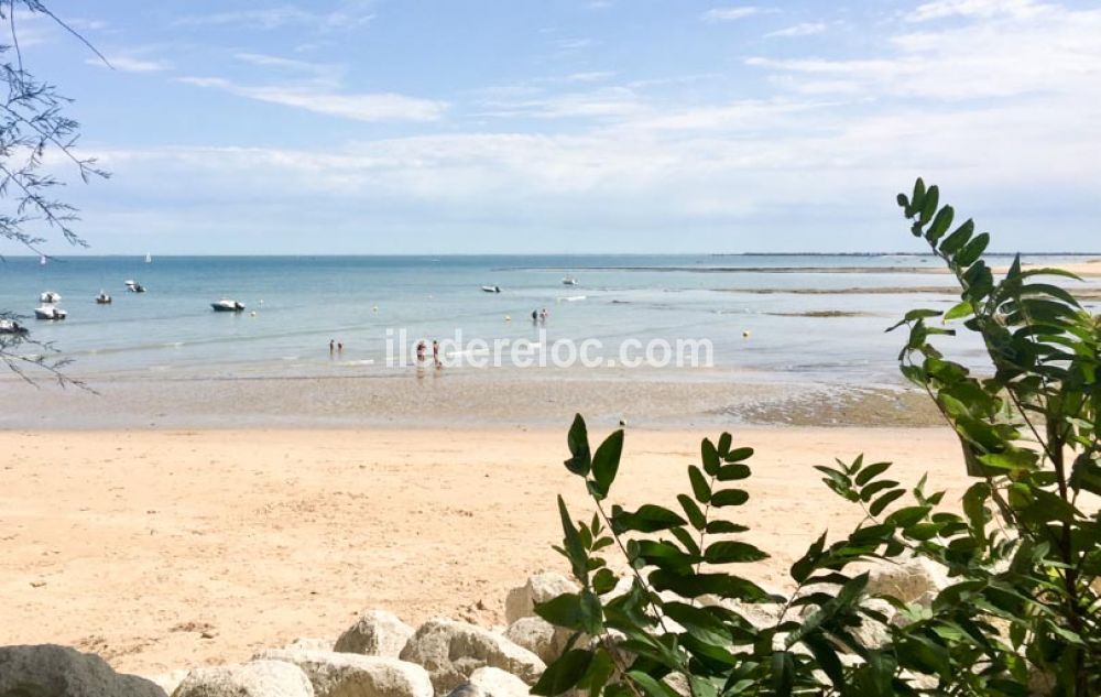 Photo 21 : NC d'une maison situ&eacute;e &agrave; Sainte-Marie-de-R&eacute;, &icirc;le de R&eacute;.